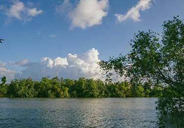 诡异的眼神：主帅在新闻发布会上提到的那个“X因素”，到底指向谁？